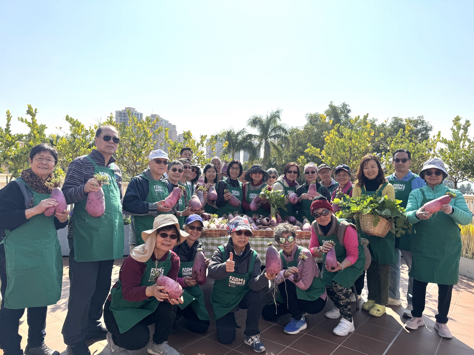 圖片集 image 32