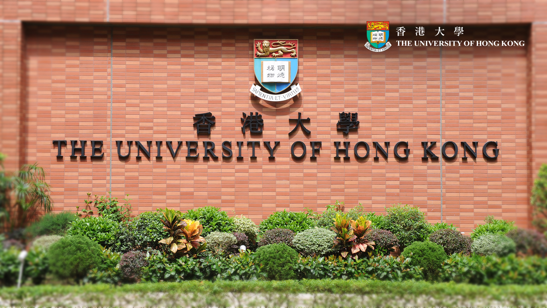 The University of Hong Kong Elder Academy